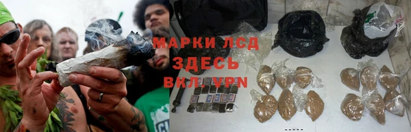 каннабис Алексеевка