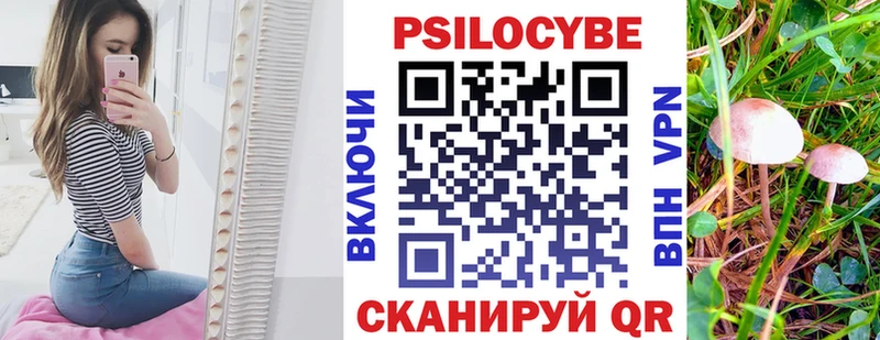 Псилоцибиновые грибы GOLDEN TEACHER где найти наркотики Томари